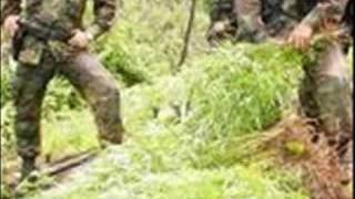 Nos Cargo La Tiznada Lyrics English Translation