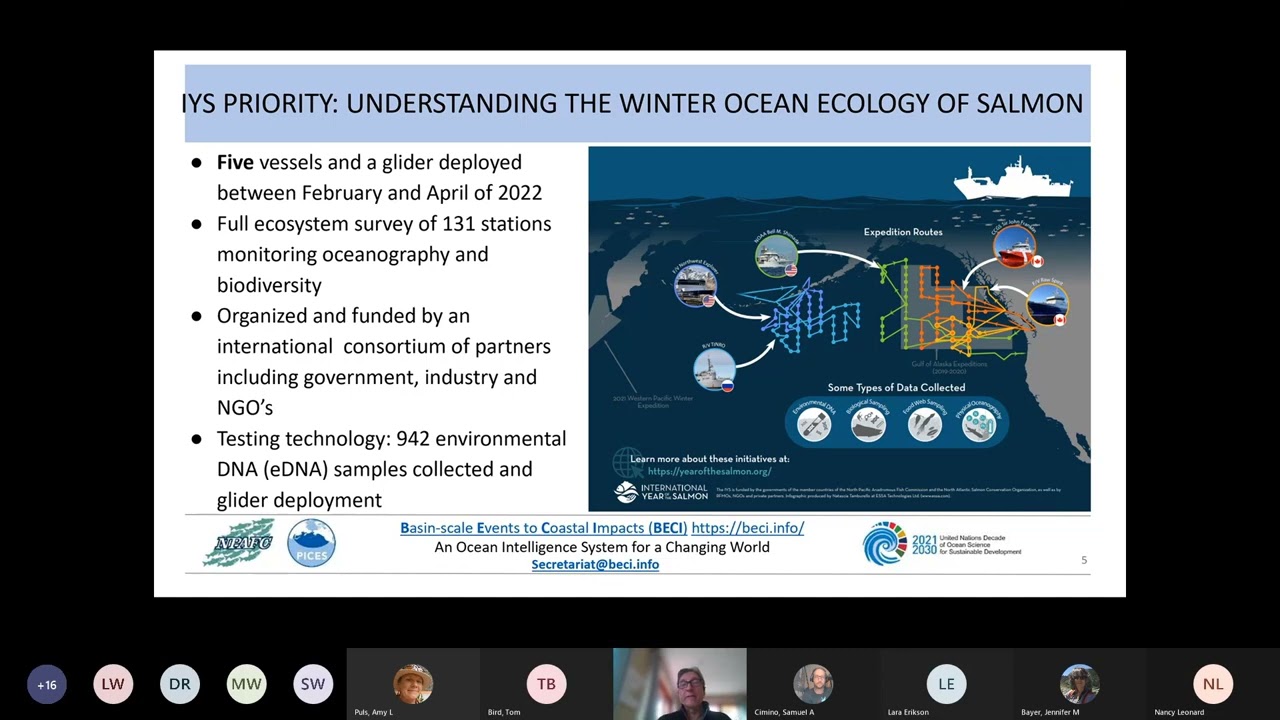 Spotlight: Building from the IYS: The Case for an International Aquatic Monitoring Partnership