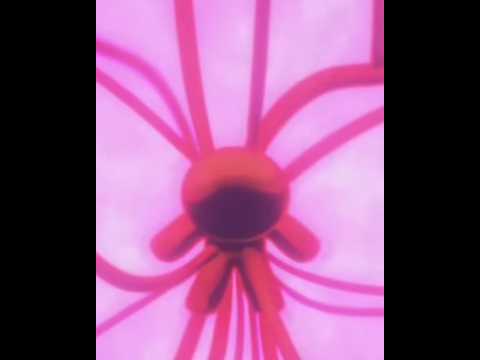 The Last Boss Ultimate Cookie Power 5 Beast 💀 #cookierunkingdom #cookierun