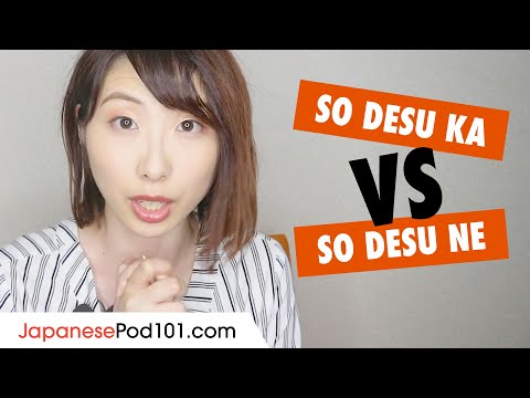 What's the difference between "So Desu Ka" and "So Desu Ne"? - Japanese Grammar