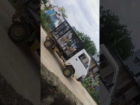 #dogs#sad for them#supreme court#they too have kids,parents and a family#abandoning them🥲