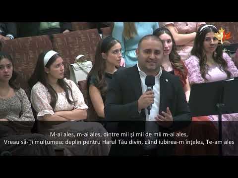 Biji din Bărbulești - Te-am ales (Nuntă Marcus Gorcea)