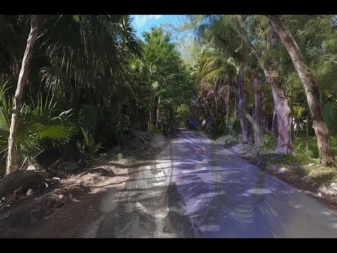 Roy Gertel - E Ya E Ya