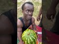 La Nourriture