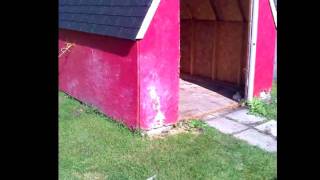 The Old Shed Goin Out Swingin.