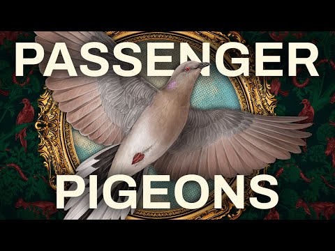 The Extinction (and De-Extinction?) of the Passenger Pigeon