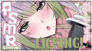 【ASMR ❥ 3DIO】SLOW Double Ear Licking [NO TALKING] 😴💤