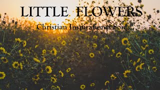 Little Flowers - Christian Inspirational Song by Lifebreakthrough