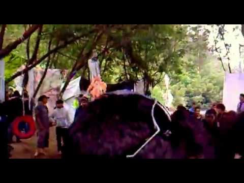 ECHO LOGIC @ Magical Forest / Portugal