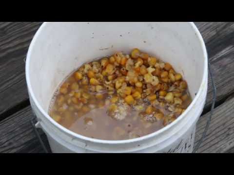 How-to Make Carp Corn Bait Tutorial