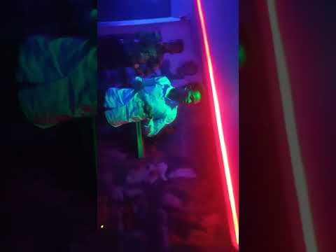 Dhaabaa caalaa dubbin tun woltajirati dawadhaa