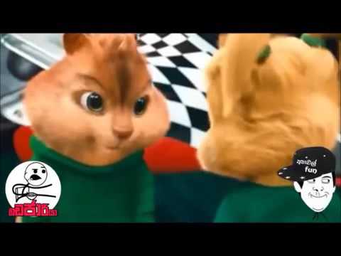 waradi karala obama hamada