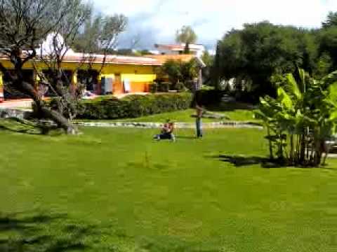 Pelea de tontos 2.3gp