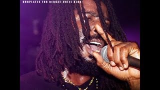 Wild Life-Gyanga Town (Youth Riddim)-Dubplate For Reggae-Unite Blog (Avril-2011)