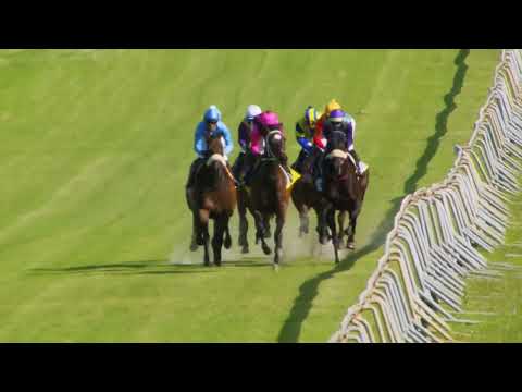 BARATHEON - RACE 7 #HollywoodBetsKenilworth 05-11-2022