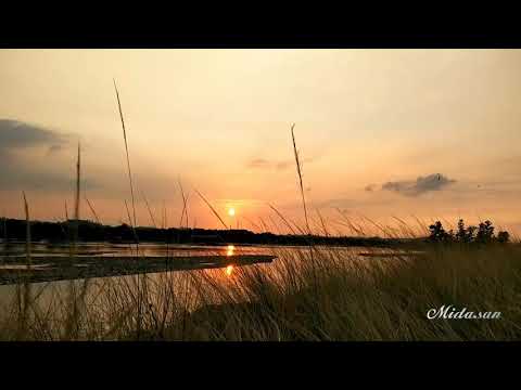 My Sunset | Instrumental | Alishahin 🎶 Najwa Farouq_Mawjou Galbi