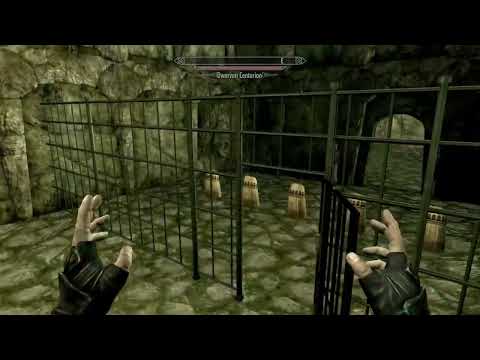 Skyrim Mods: Ildari Sarothril Follower (Ps4)