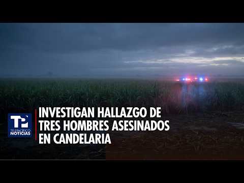 Investigan hallazgo de tres hombres asesinados en zona rural de Candelaria