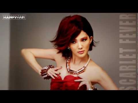 HAPPYHAIR 2012 Fall / Winter Trend - Crystal Love