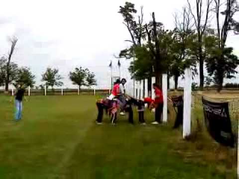 Bolandele de la Gottlob...