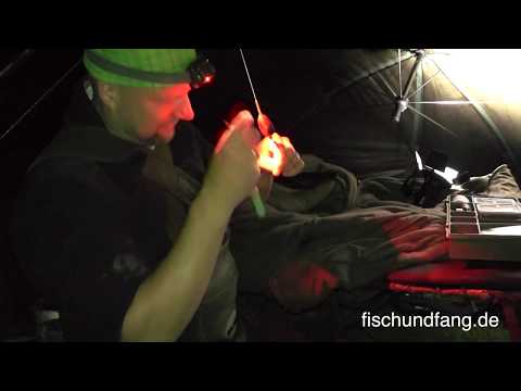 Matze Koch: Karpfen am Riesensee 2/1 - Matzes Mätzchen 03-2016