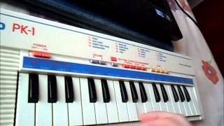 Video thumbnail for keyboard Casio PK-1 by Raphaela Elpidio - Circuit Bending Brazil