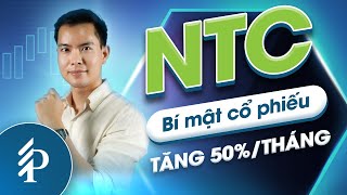 Thị giá tăng gần 50% từ tháng 5/2023 đến nay, Nam Tân Uyên (NTC) có gì đáng chú ý?
