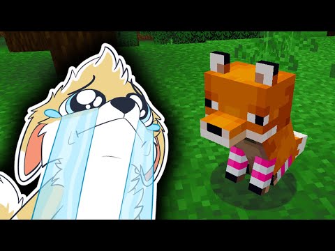 Reefster's CRAZY Real-life Fox Encounter!