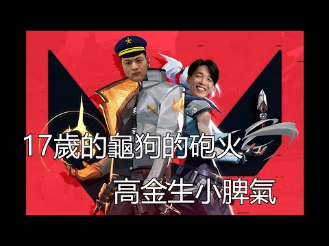 狗金生意思