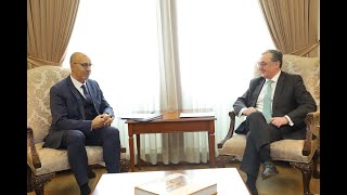 Foreign Minister Mnatsakanyan received Harlem Désir, the OSCE Representative on Freedom of the Media