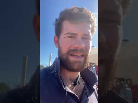 Mahoe sawmill review