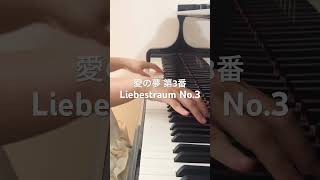 Download lagu リスト「愛の夢 第3番」を15秒でお届けします🎹フルバージョンはチャンネルで公開中です✨#愛の夢 #リスト #Liebestraum #ピアノ #クラシック #Shorts mp3