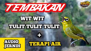 Download lagu MASTERAN PLECI NEMBAK WIT WIT TULIT TULIT mp3