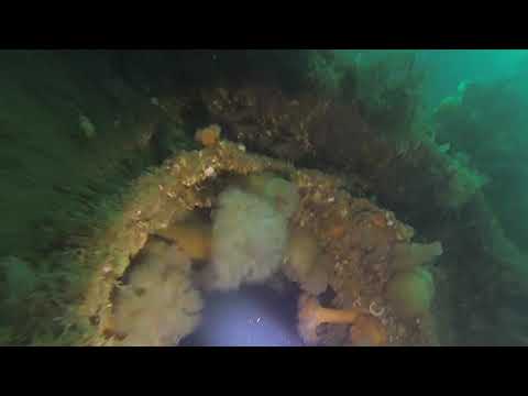 Scapa Flow 2019 SMS Kronprinz Wilhelm