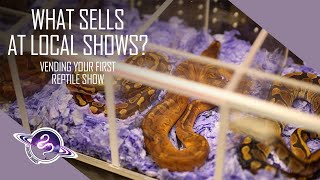 Vending Your 1st Reptile Show | What Ball Pythons Sell at Local Shows?