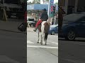 Man Riding Horse Through City Of Chicago
