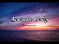 Nuvvunte Chaley Audio Song Andhra King Taluka Ram Pothineni Relaxing Beats