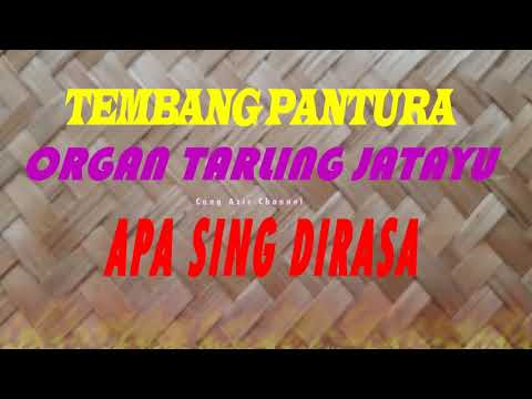Tembang Pantura Cirebonan Organ Tarling Jatayu __APA SING DIRASA__