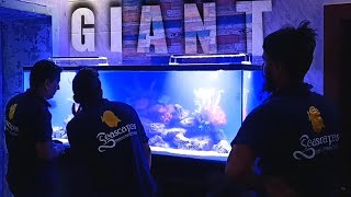 GIANT SIZE MARINE AQUARIUM IN HOME | seascapes marine tank