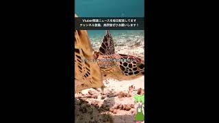 【にじさんじ】笹木咲「これからも夢継続っ!! 幸せ継続でいこっ!!」YouTubeチャンネル登録100万人突破！ 記念動画＆直筆コメントも到着