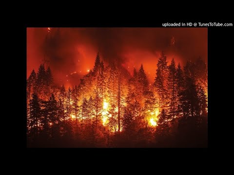 California Banger Cml x lavish d x Pilthy ritch x dreda x j diggs x ysm swole and more