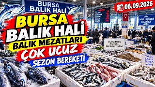 Balık bedava fırsatı kaçırmayın.