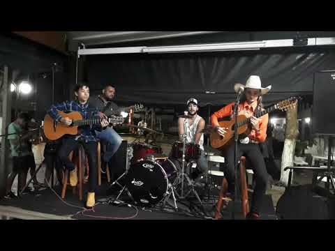 Brenda A Violeira Do Pantanal - As Andorinhas