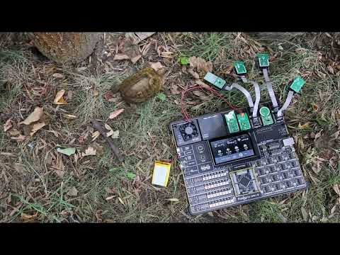 Let's Make - Turtle Terrarium