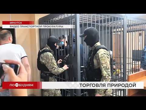 До 20 лет получили "чёрные лесорубы" из Прибайкалья за вывоз древесины на 1,5 млрд рублей в Китай