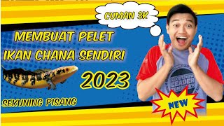 Download lagu CARA MEMBUAT PELET JAHAT UNTUK IKAN CHANA YS ‼️TERBARU‼️ MURAH MERIAH 2023 #chana #chanamaru mp3