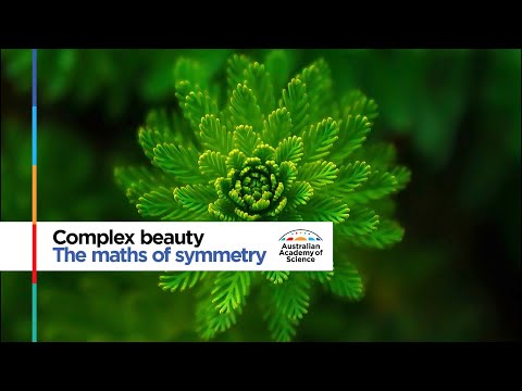 Complex beauty: the maths of symmetry | #MedallistMonday