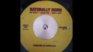 Big Noyd ,Large Pro feat. Kool g Rap - Naturally Born