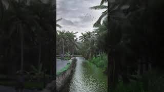 3D Kerala village beauty whatsapp status ( 3dsmaxp