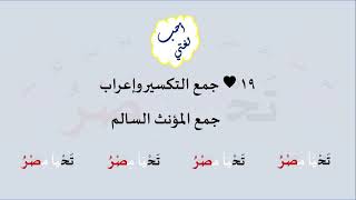 19 & صوت جمع التكسير وإعراب جمع المؤنث السالم image